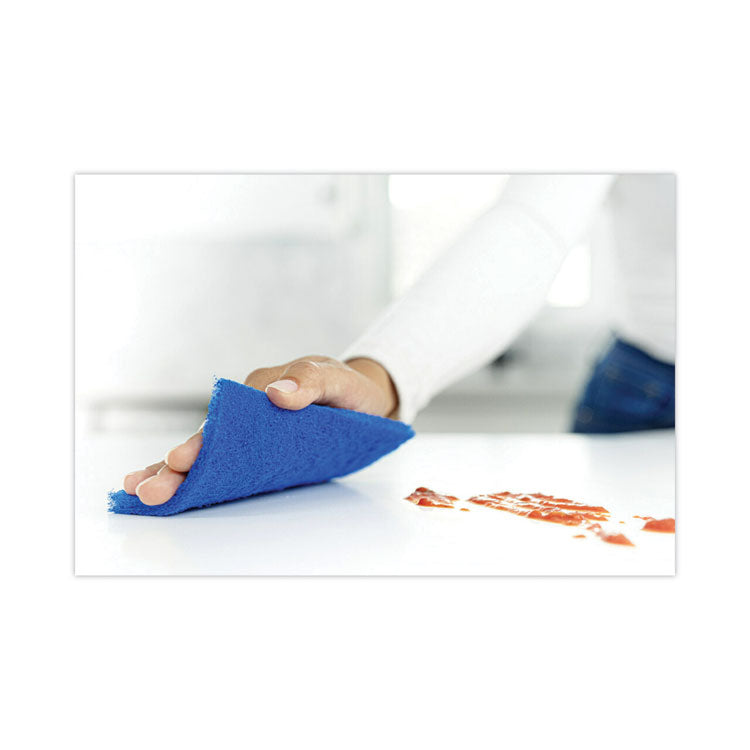 Non-Scratch Scour Pads, Size 3 X 6, Blue, 10/carton