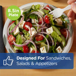Dixie Pathways 8.5” Paper Plates, Multicolored, 500/Carton (UX9WS)