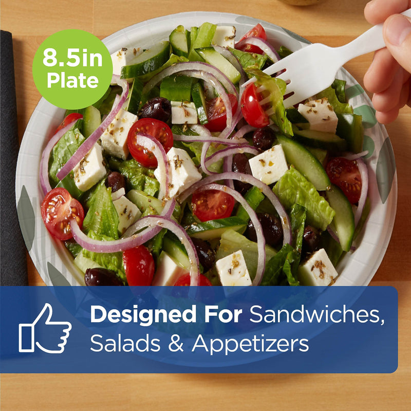 Dixie Pathways 8.5” Paper Plates, Multicolored, 500/Carton (UX9WS)