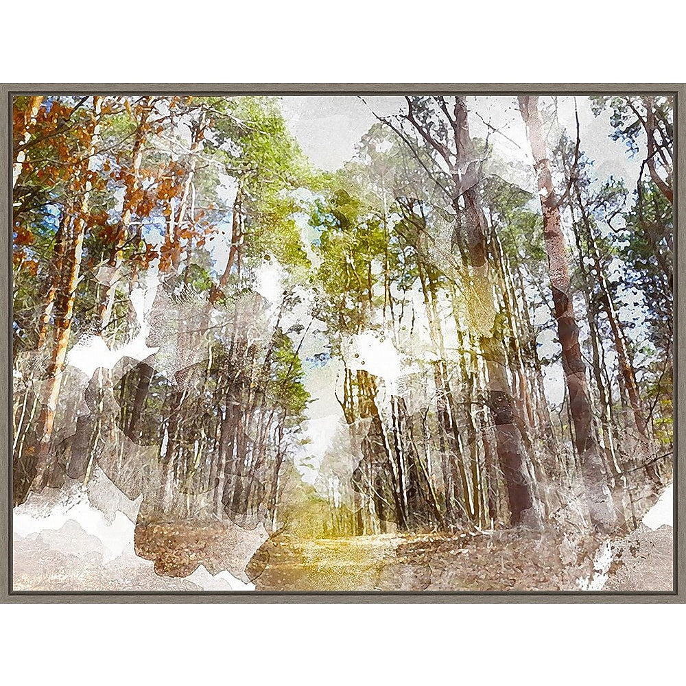 Amanti Art Forest Road I by Chamira Young Framed Canvas Wall Art Print, 42" x 32" (A42677748004)