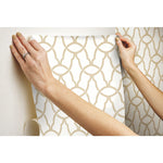 York Wallcoverings Trellis Peel and Stick Wallpaper (RMK9121WP)