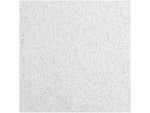 Armstrong CERAMAGUARD Square Edge Ceiling Tile, 24" x 48", White, 6/Carton (BP605C)