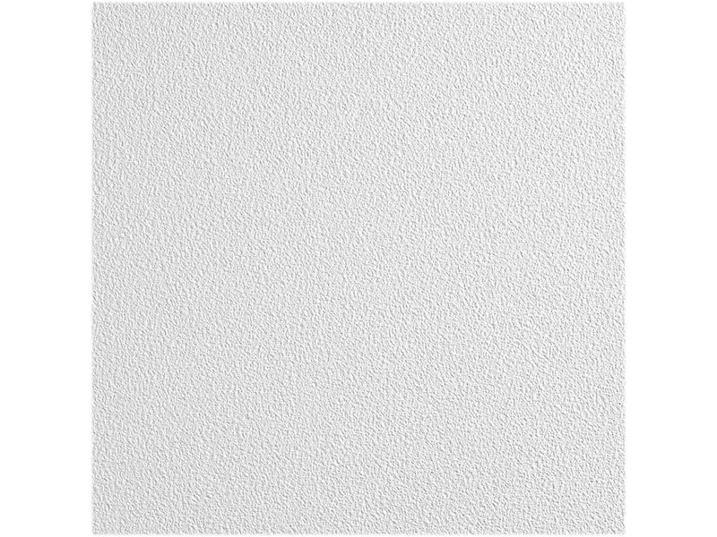 Armstrong CLEAN ROOM VL Square Lay-In Edge Ceiling Tile, 24" x 48", White, 8/Carton (BP870B)