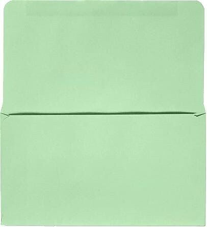 JAM Paper Booklet Envelope 3 1/2" x 6", Pastel Green, 50/Pack (R255-50)