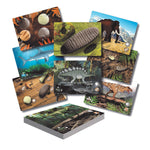 Yellow Door Prehistoric Teeth Explore and Discover Activity Cards, 16/Set (YUS1203)