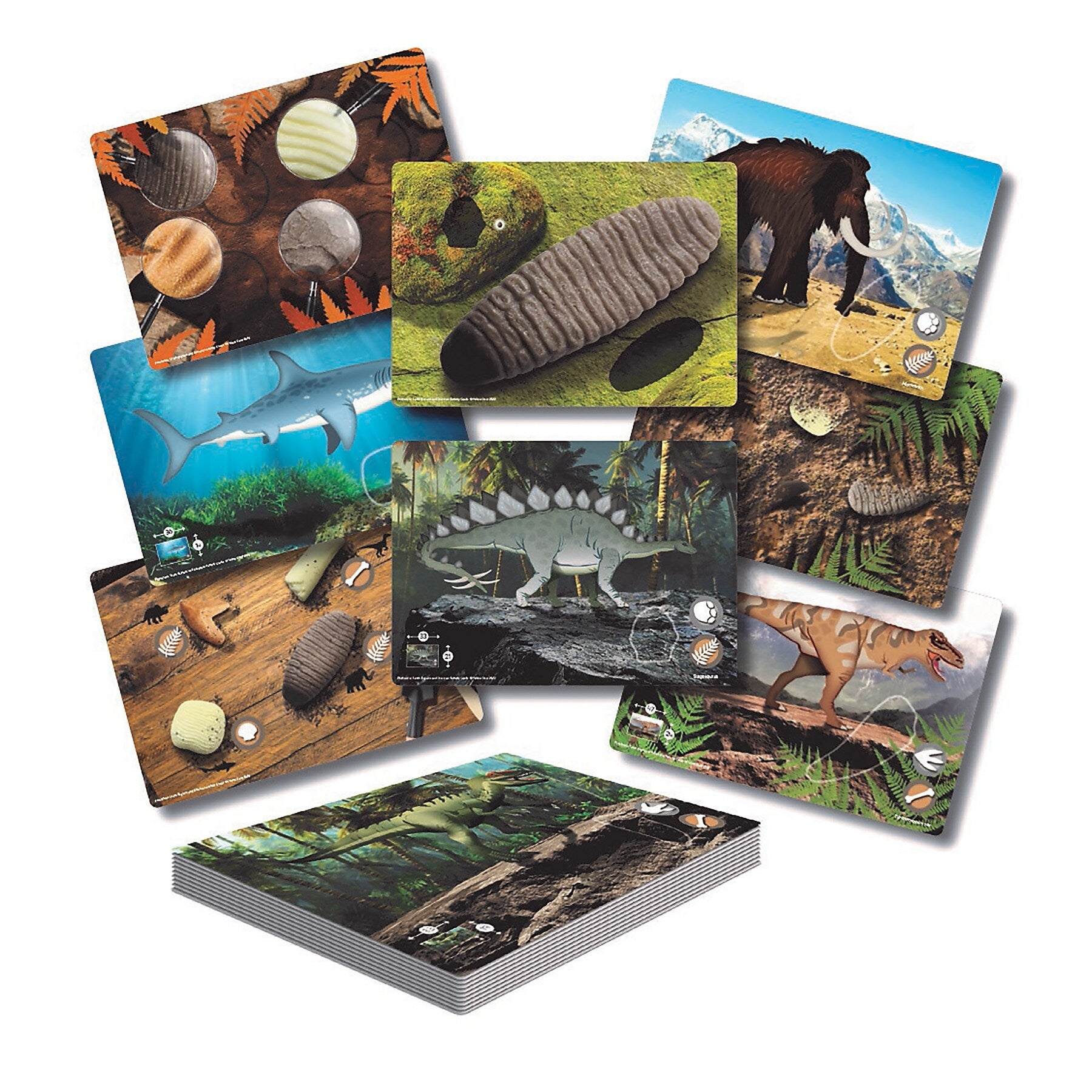 Yellow Door Prehistoric Teeth Explore and Discover Activity Cards, 16/Set (YUS1203)