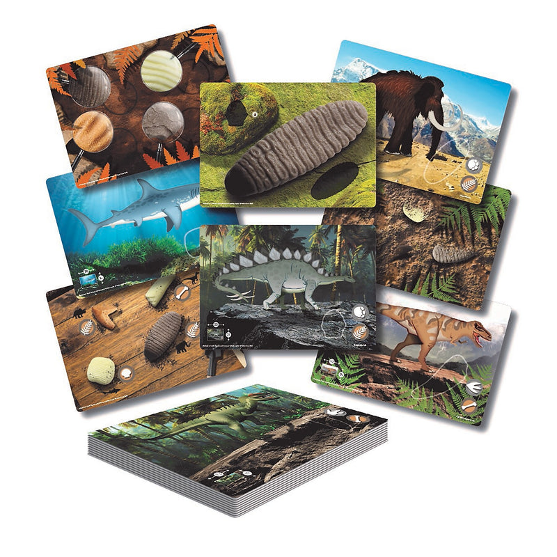 Yellow Door Prehistoric Teeth Explore and Discover Activity Cards, 16/Set (YUS1203)