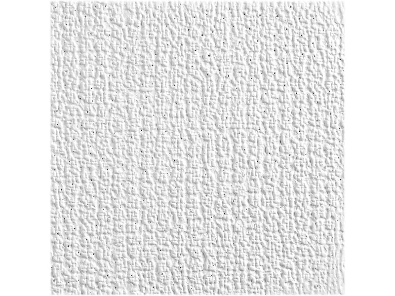 Armstrong SHASTA Square Lay-In Edge Ceiling Tile, 24" x 48", White, 16/Carton (BP2906)