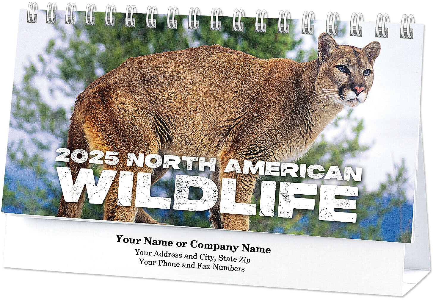 2025 North American Wildlife Desk Calendar, Qty 750