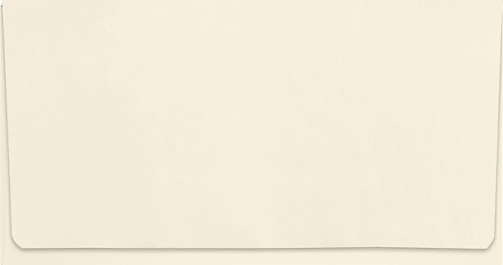JAM Paper #6 3/4 Booklet Envelopes, 3 5/8" x 6 1/2", Cream, 50/Pack (R0260-50)