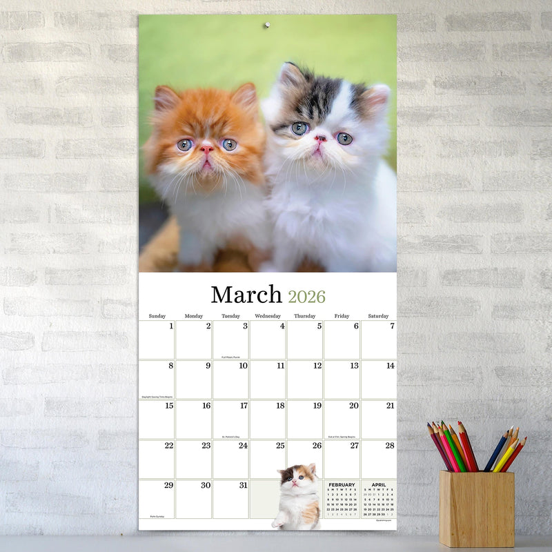 2026 TF Publishing Kittens 12" x 12" Monthly Wall Calendar, Multi (26-1013)