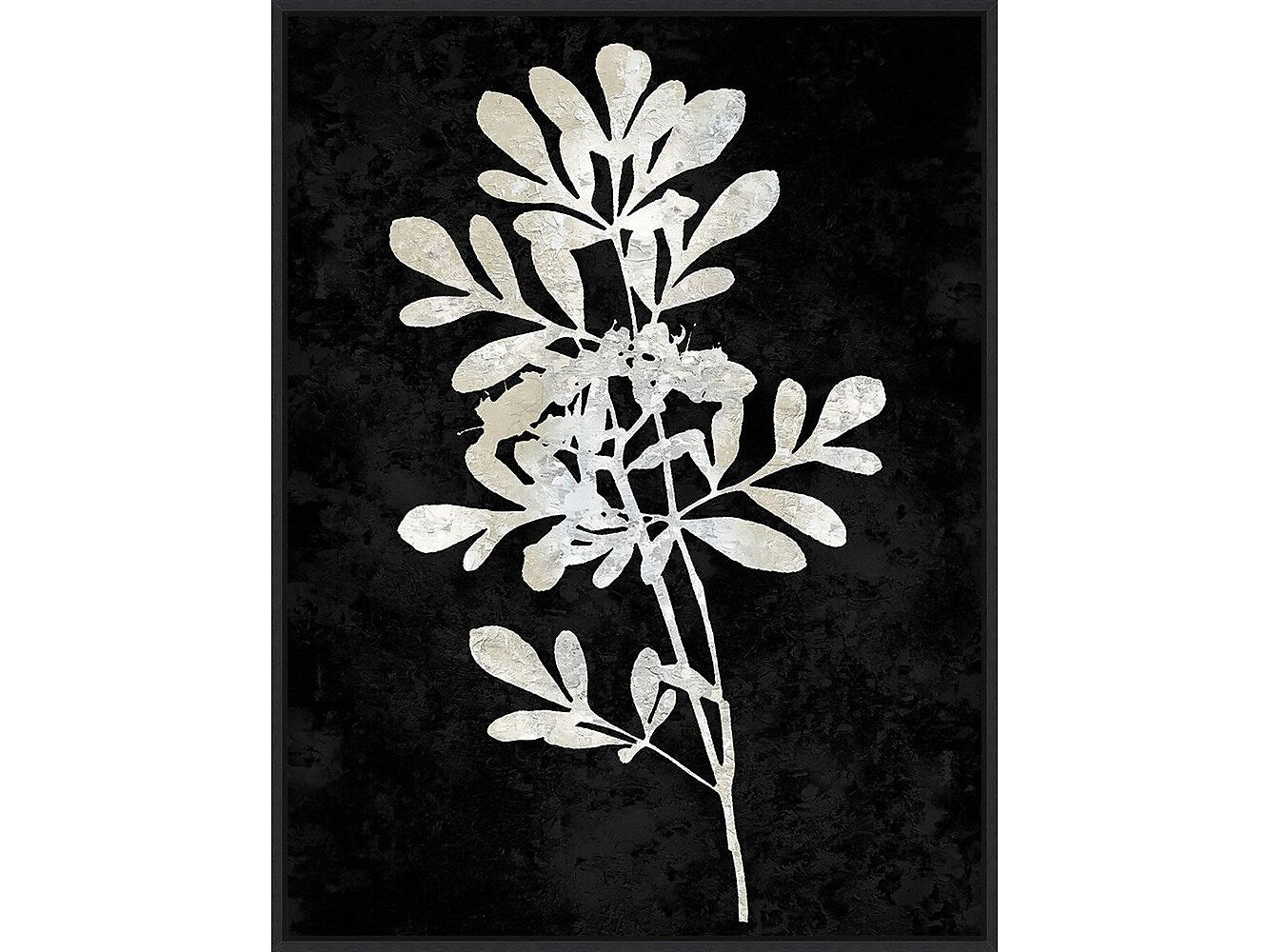 Amanti Art Plant Life White on Black II, Canvas, 23" x 30" (A42675515283)