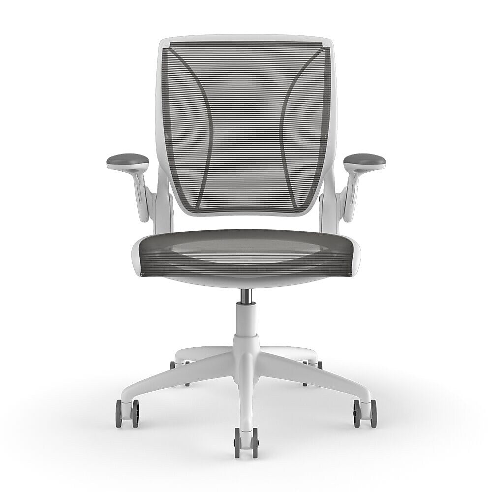 Humanscale Diffrient World Ergonomic Mesh Swivel Task Chair, White/Black (W11BN10N10SHNSC)