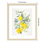 Amanti Art Lemon Citrus by Patricia Shaw Wood Framed Wall Art Print, 17" x 21" (A42675506061)