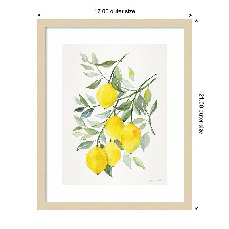 Amanti Art Lemon Citrus by Patricia Shaw Wood Framed Wall Art Print, 17" x 21" (A42675506061)