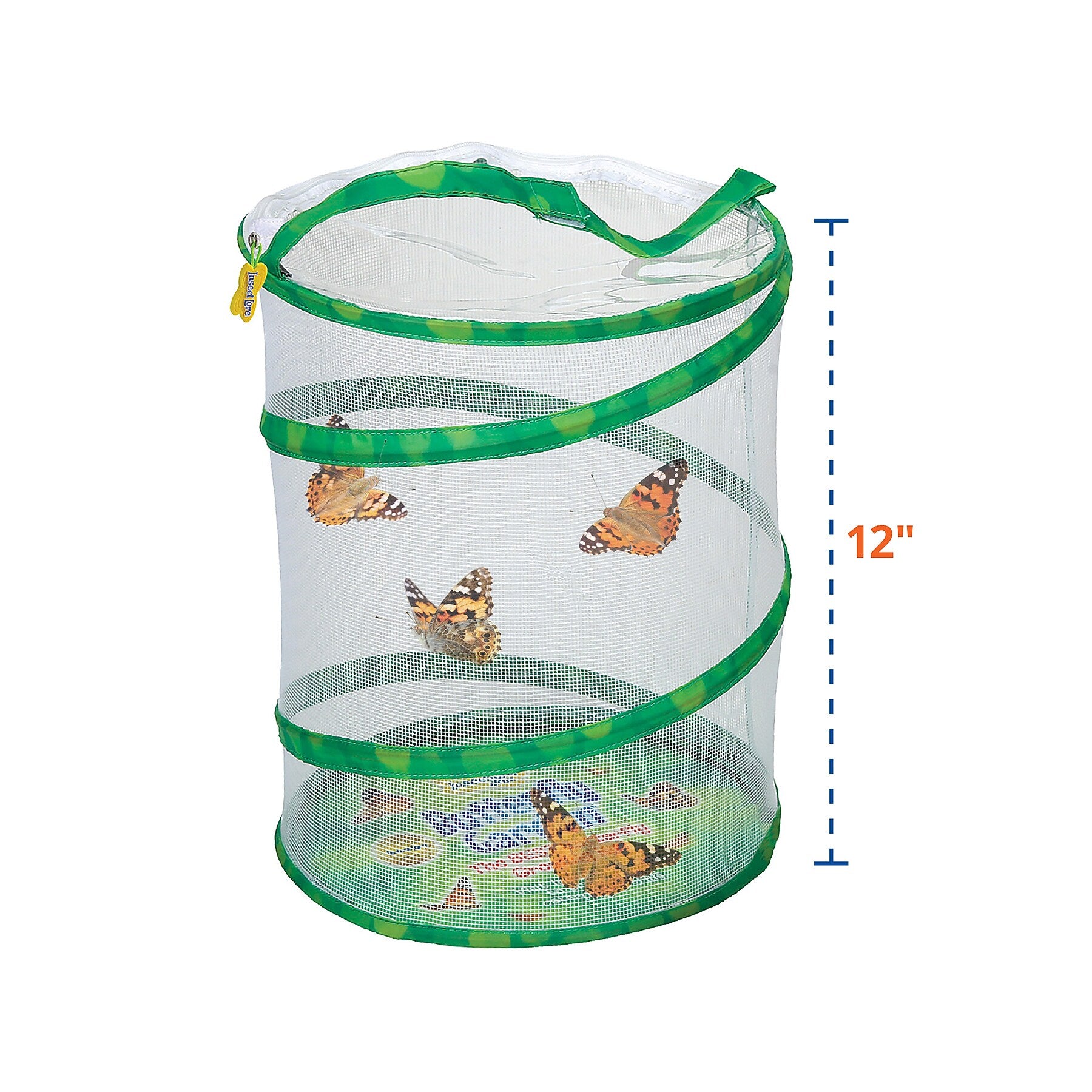 Insect Lore Products Animal Study, Live Butterfly Garden Kit (ILP1010)