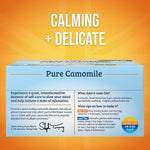 Twinings Pure Camomile Herbal Caffeine FreeTea Bags, 2.65 oz., 50/Box (TNA53651)