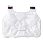 Chill-Its 6220 Phase Change Cooling Vest Charge Packs, Small/Medium, 12 x 16.25, 2/Pack