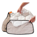 Chill-Its 6220 Phase Change Cooling Vest Charge Packs, Small/Medium, 12 x 16.25, 2/Pack