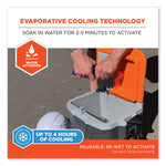 Chill-Its 6717FR FR Cooling Hard Hat Pad and Neck Shade, 12.5 x 9.75, Blue