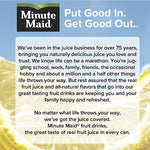 Minute Maid Lemonade, No Pulp, 12 oz., 24/Carton (00025000058387)