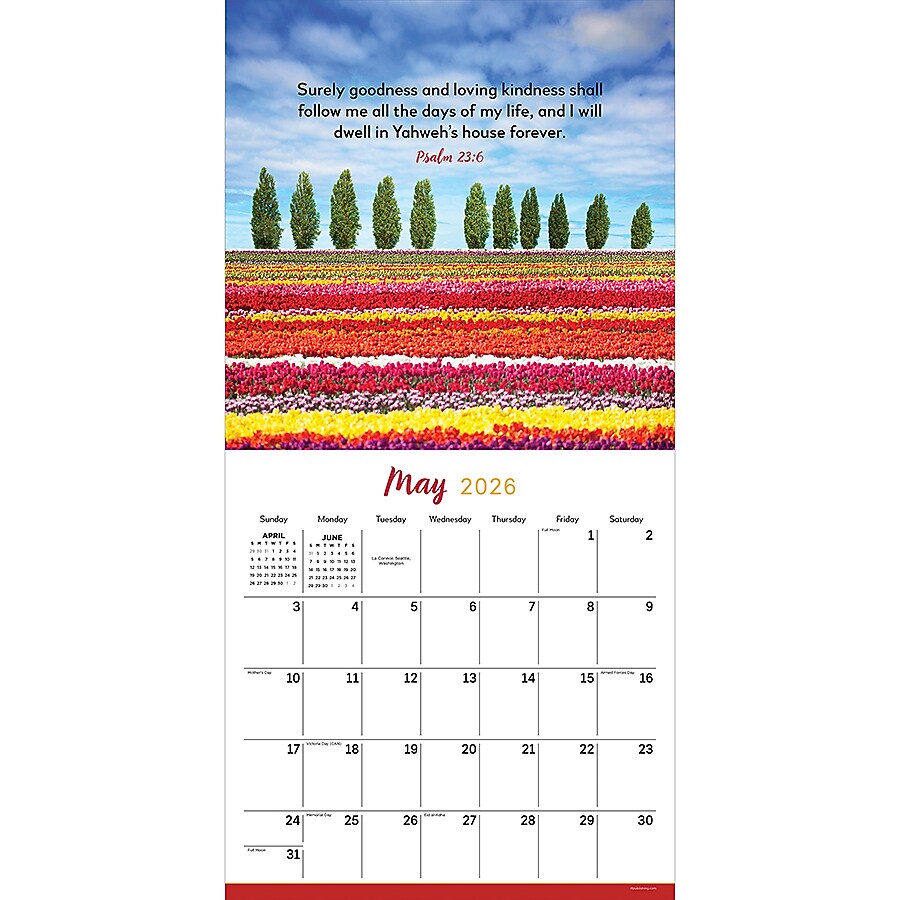 2026 TF Publishing Psalms 12" x 12" Monthly Wall Calendar (26-1024)