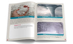 iSprowt Severe Weather & Natural Catastrophes Kit, Multicolor (785459614526)