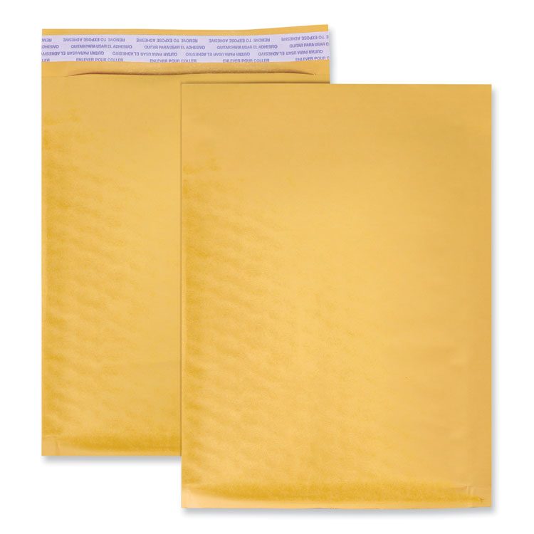 Peel Seal Strip Cushioned Mailer, #6, Extension Flap, Self-Adhesive Closure, 12.5 x 19, 25/Carton