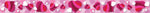 Barker Creek Double-Sided Border, 35" x 3", Hearts and Clover, 12/Pack (LL973)