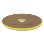 Clean and Shine Pad, 19" Diameter, Brown/Yellow, 5/Carton
