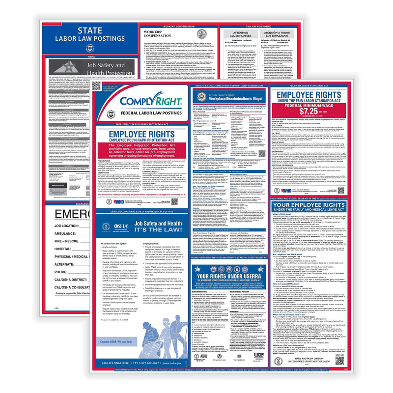 ComplyRight Federal and State Labor Law Poster Set (English), Puerto Rico (E50PR)