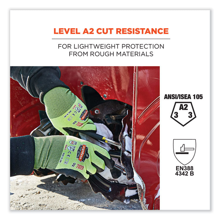 ProFlex 7022-CASE ANSI A2 Coated CR Gloves DSX, EN388: 4342B, 10.5" Long, XX-Large, Lime, 144 Pairs/Carton