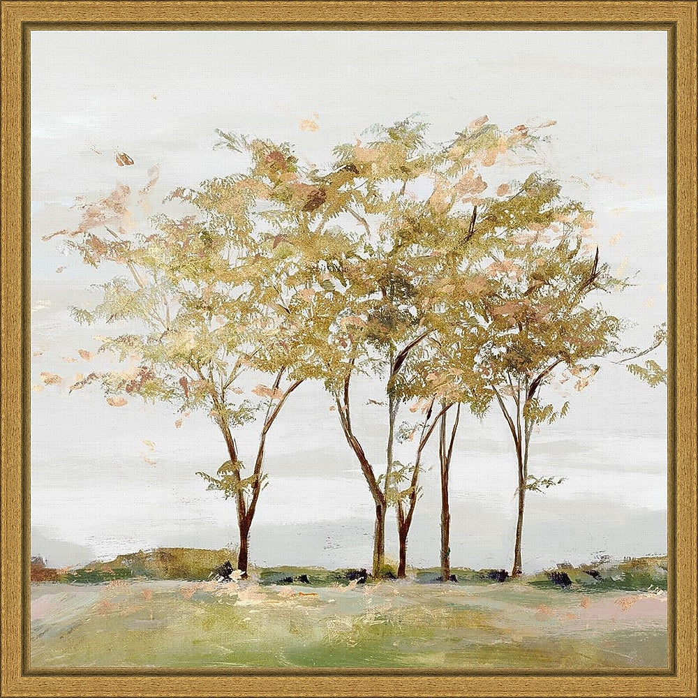 Amanti Art Golden Acre Wood (Trees) by Isabelle Z Framed Canvas Wall Art Print, 16" x 16" (A42675040734)