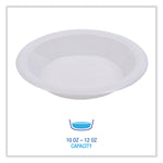 Hi-Impact Plastic Dinnerware, Bowl, 10 oz to 12 oz, White, 1,000/Carton