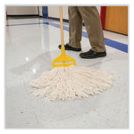 Emulsinator Floor Stripper, Sassafras Scent, 5 gal Bag-in-Box