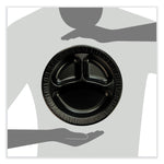 Quiet Class Laminated Foam Dinnerware, Plate, 10.25" dia, Black, 125/Pack, 4 Packs/Carton