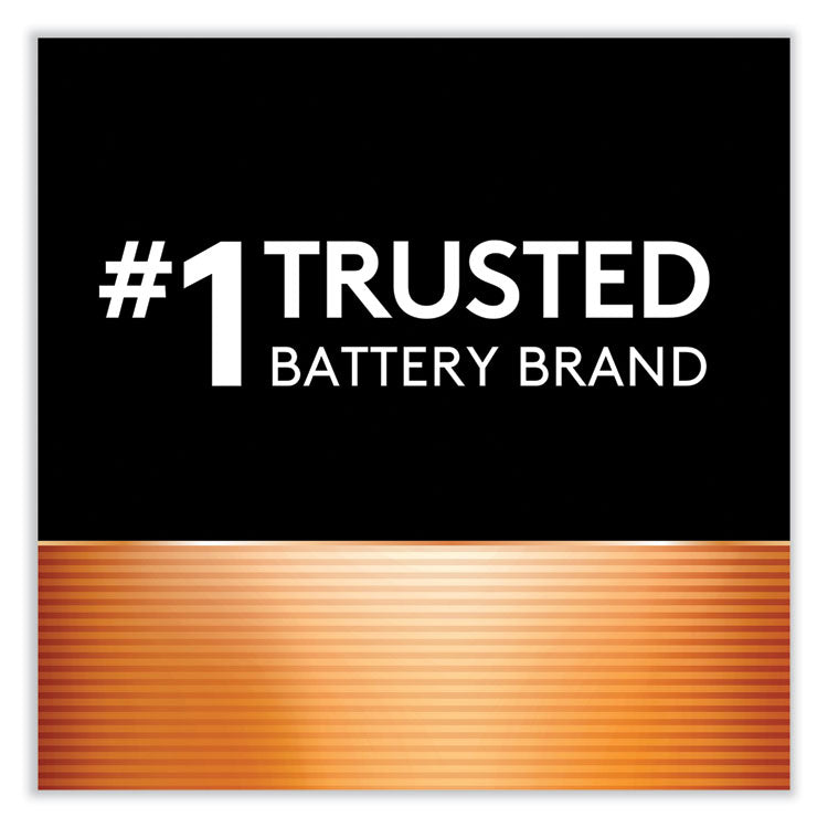 Power Boost CopperTop Alkaline AAA Batteries, 10/Pack