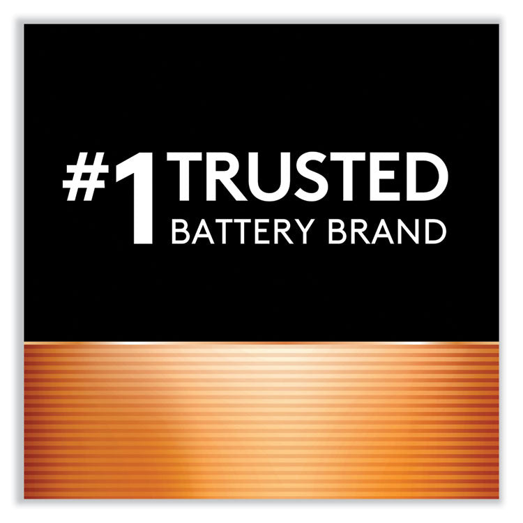 Power Boost CopperTop Alkaline AA Batteries, 2/Pack