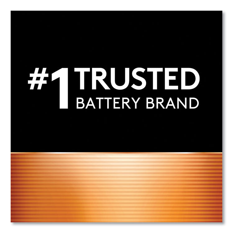Power Boost CopperTop Alkaline AA Batteries, 36/Pack