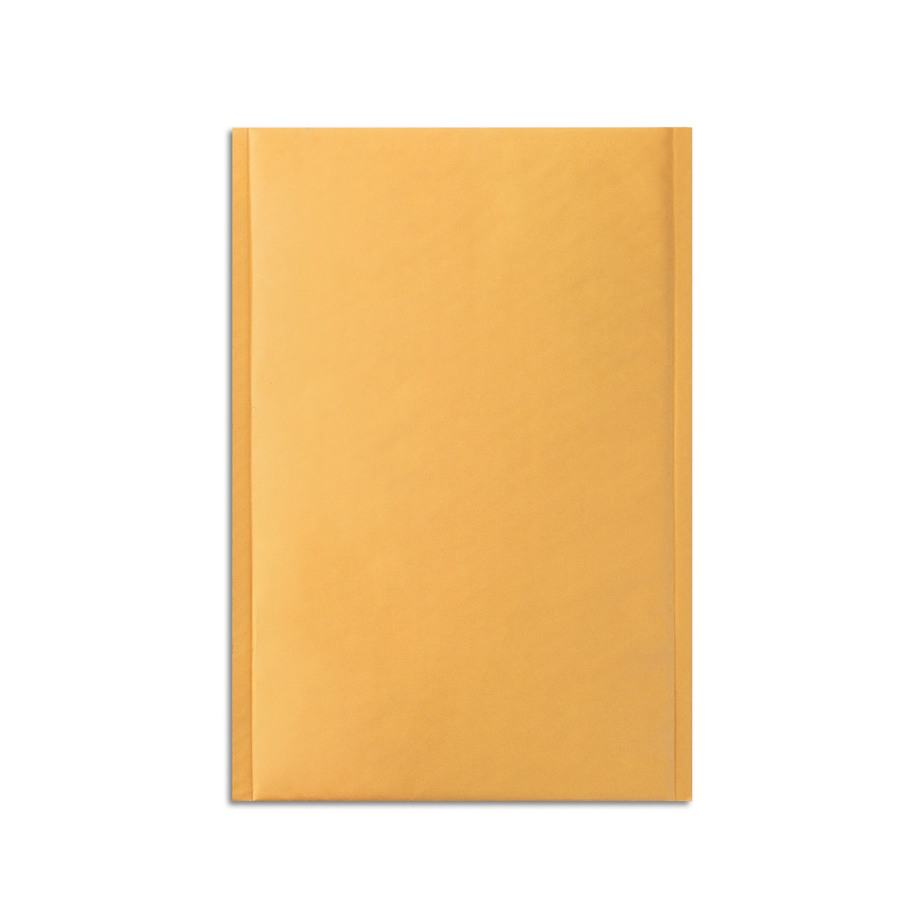 13.13" x 17.75" Self-Sealing Bubble Mailer, #6, 25/Carton (ST56651B)