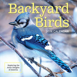 2026 TF Publishing Backyard Birds 12" x 12" Monthly Wall Calendar, Multi (26-1033)