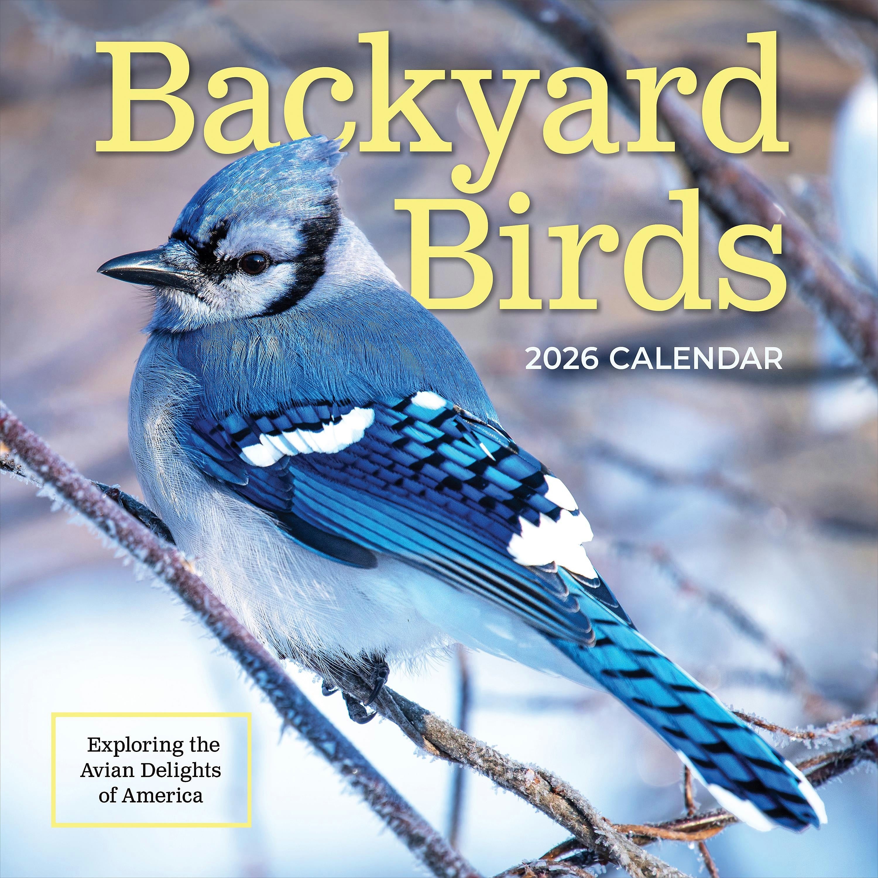 2026 TF Publishing Backyard Birds 12" x 12" Monthly Wall Calendar, Multi (26-1033)