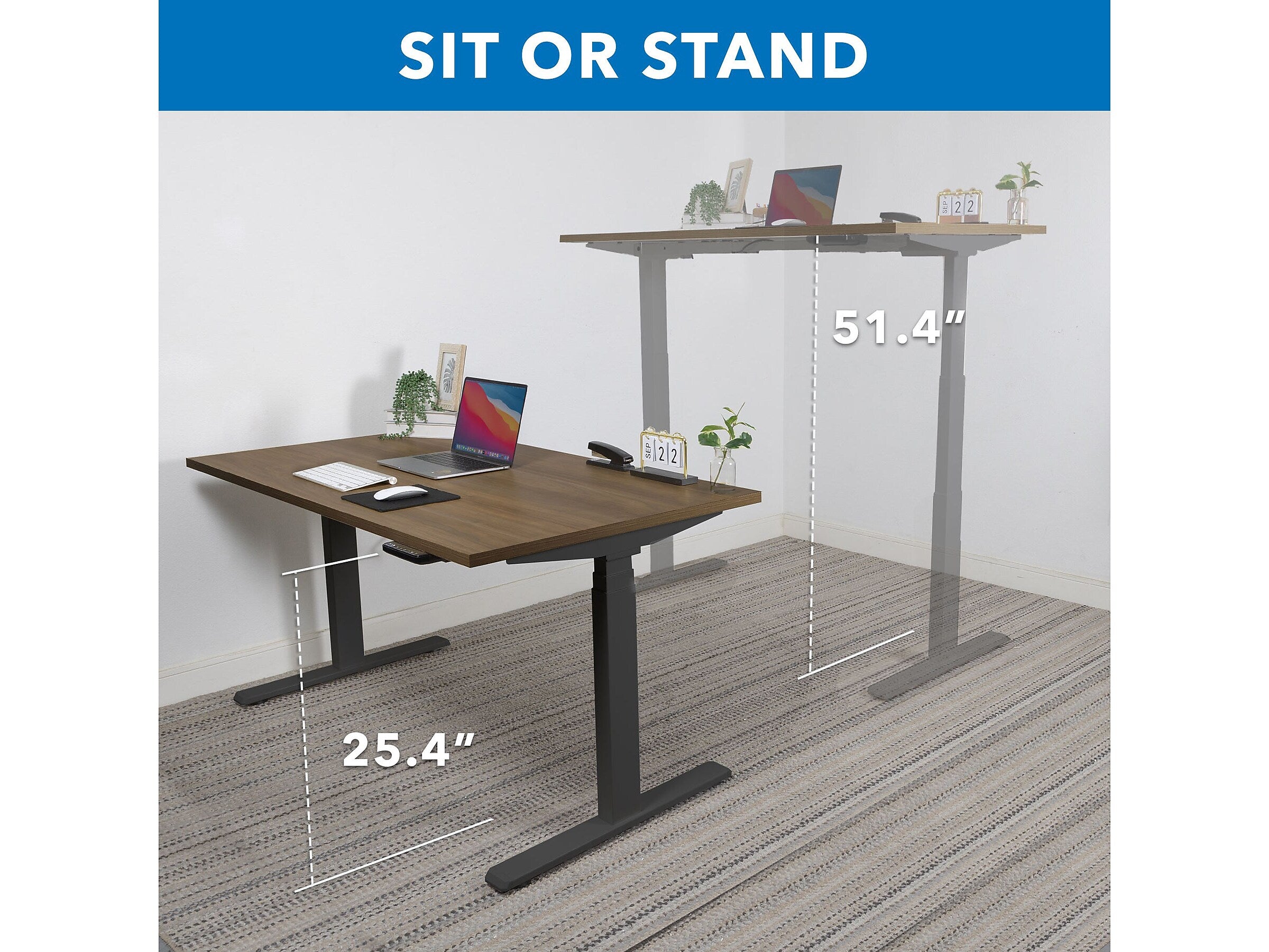 Mount-It! Ultimate 55"W Electric Rectangular Adjustable Standing Desk, Adrift/Black (MI-18080)