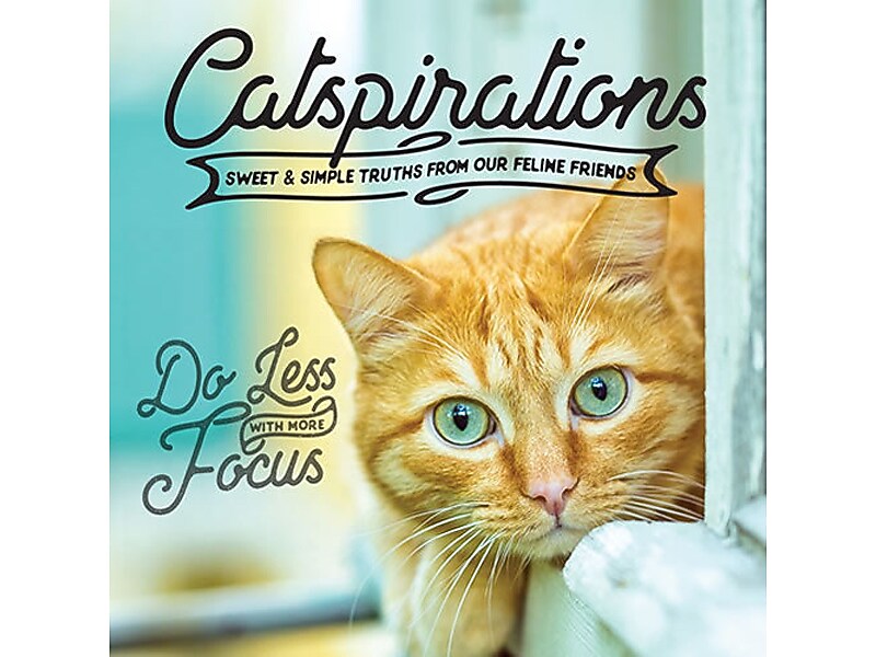 Catspirations, Hardcover