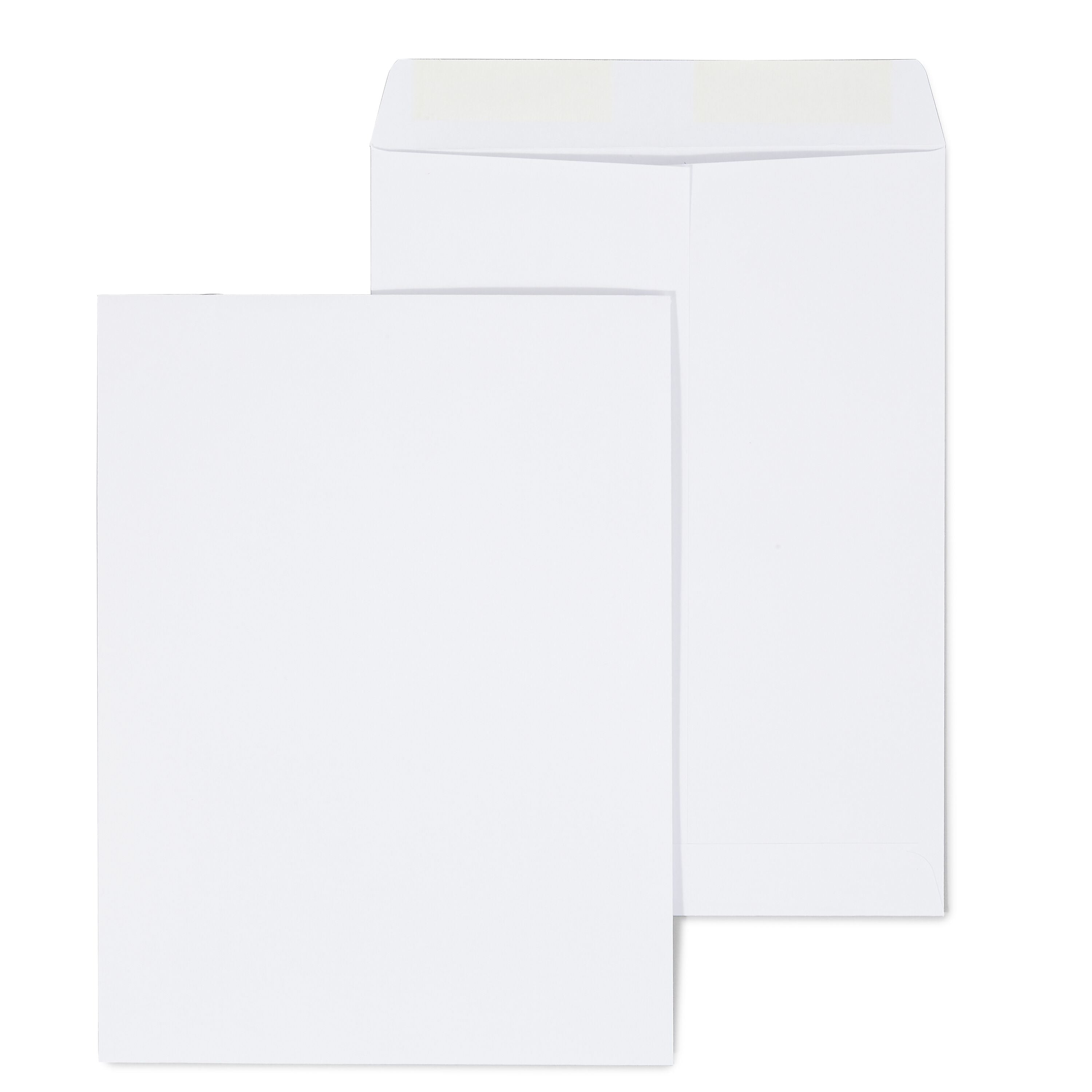 Staples Gummed Catalog Envelopes, 9"L x 12"H, White, 100/Box (50264/47286N)