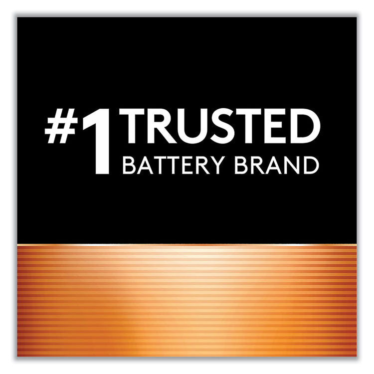Power Boost CopperTop Alkaline AA Batteries, 224/Carton