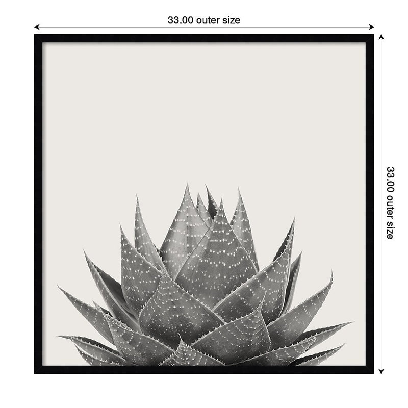 Amanti Art Haze Aloe Succulent by The Creative Bunch Studio Wood Framed Wall Art Print, 33" x 33" (A42675345777)
