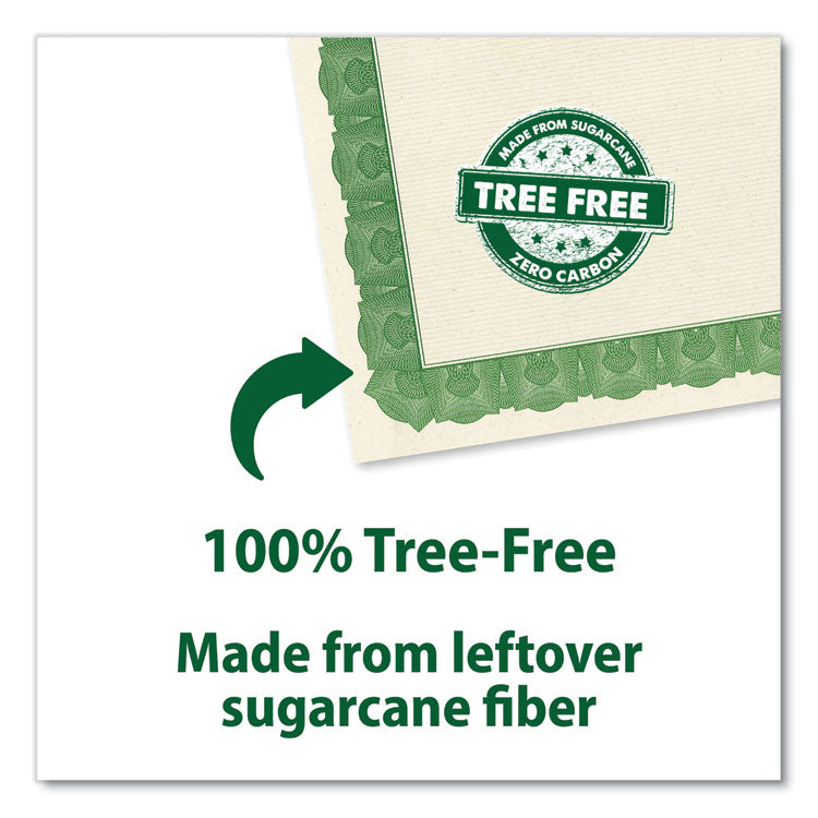 Award Certificates, 8.5 x 11, Natural with Green Braided Border, 15/Pack