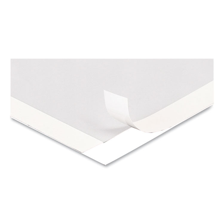 Self Adhesive Sign Holders, 11 x 17, Clear with White Border, 2/Pack