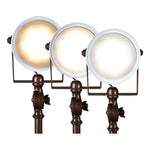 Wellness Series Restore LED Desk Lamp, 9" to 22", Rubbed Bronze